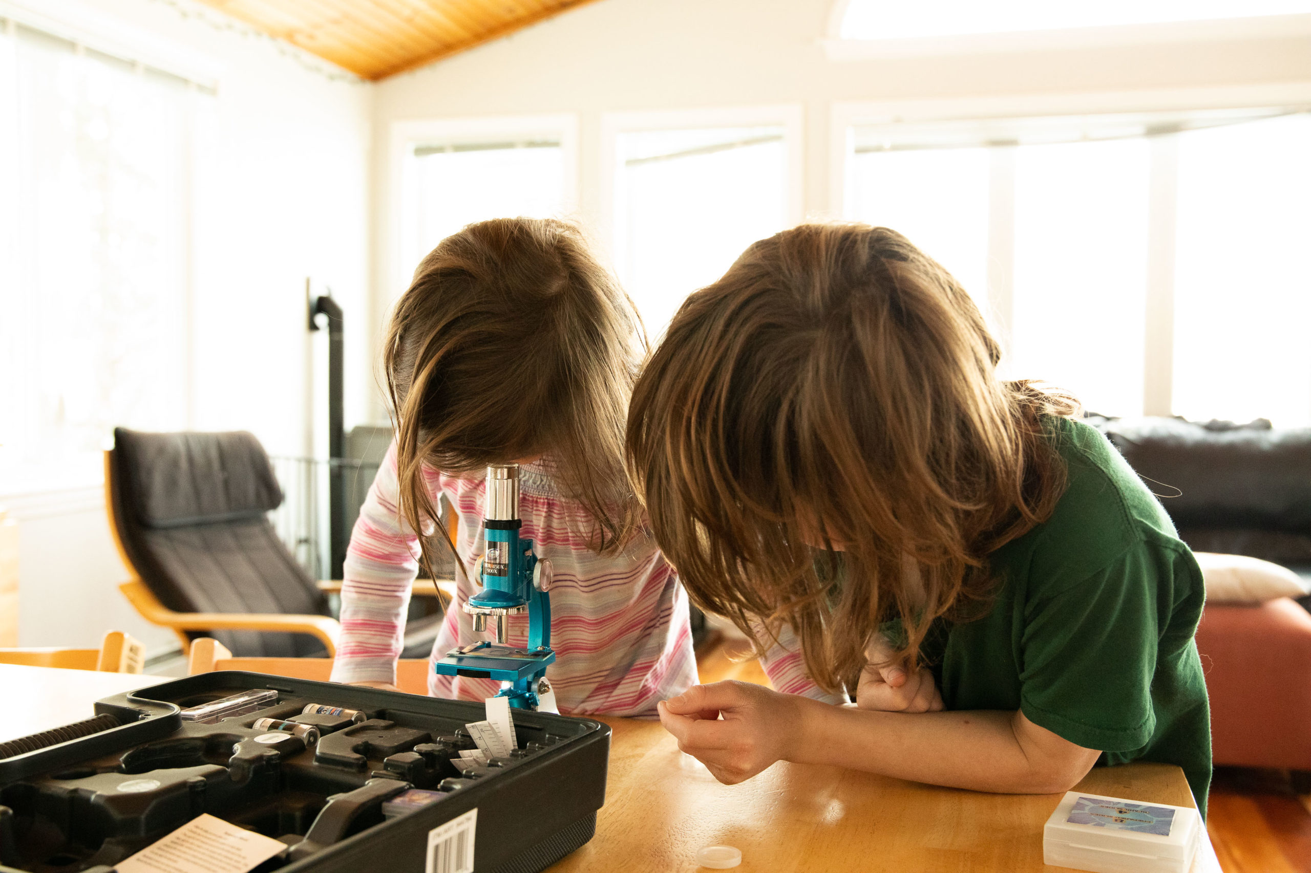 Two Children Using a microscope