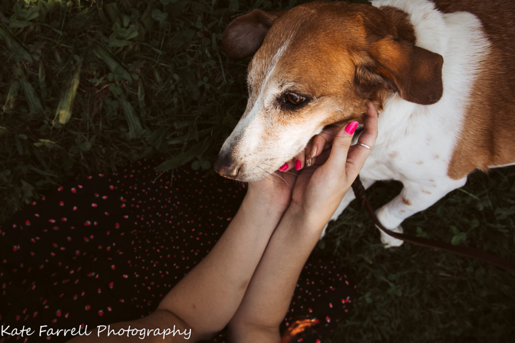A young woman pets her beagle. Dog photo in Chittenden County, Vermont.