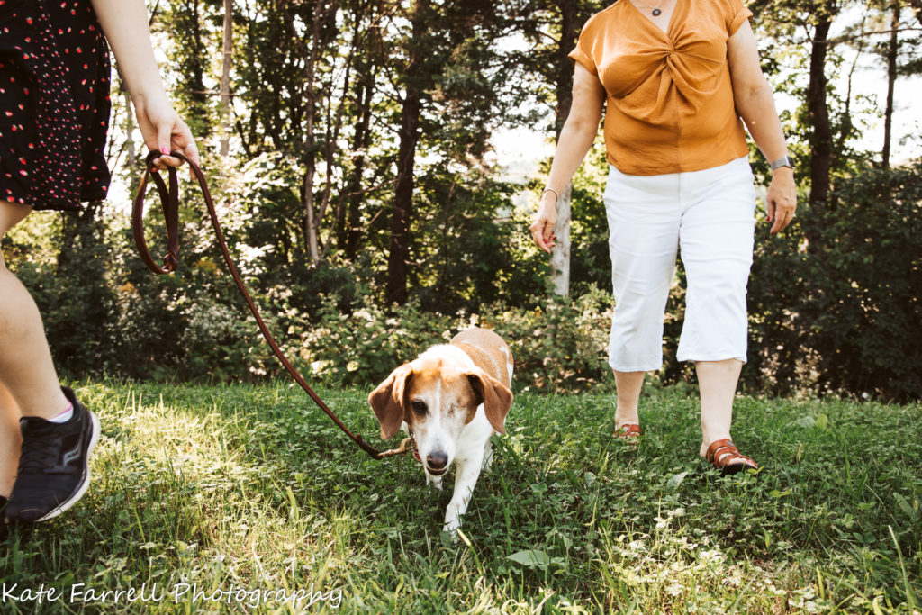 A one-eyed beagle goes for a walk with a teenage girl and her mom.