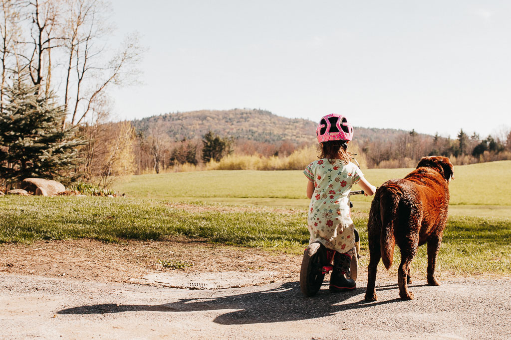 Photo of a toddler and her dog on a sunny day.
