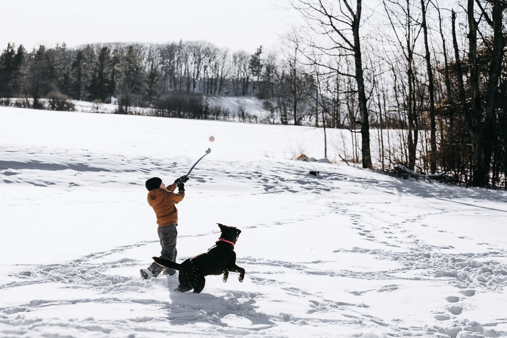 Boy and his dog play fetch in the snow.