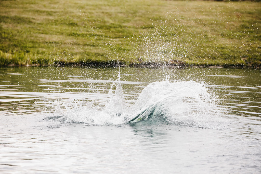 The splash made by the boy in the last photo when he jumped into the pond.