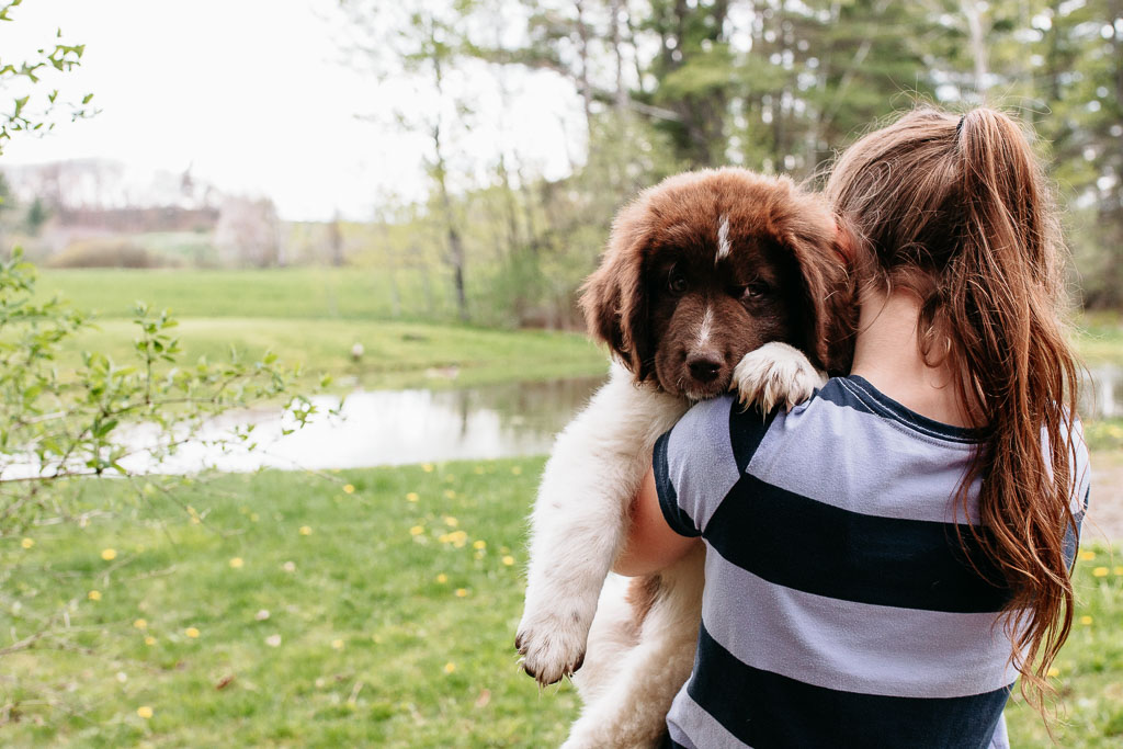 photo of a girl holding a puppy in spring.