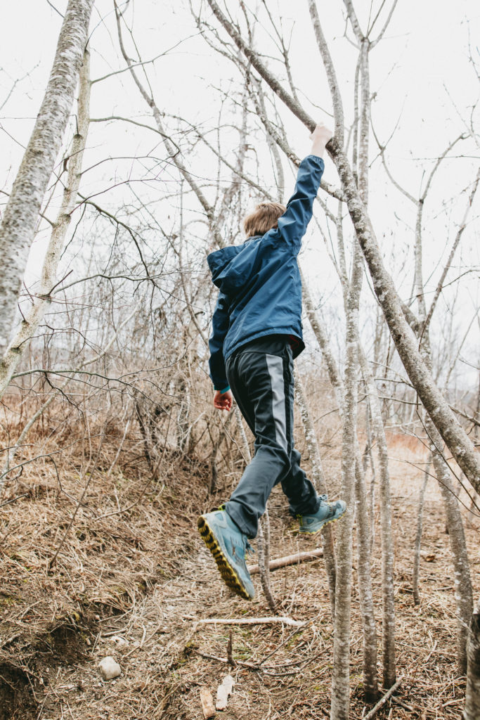 A 9 year old boy climbs a tree.