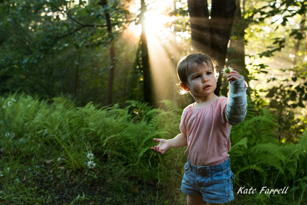 A toddler girl with her arm in a cast, gazes at the daisy she is holding while light streams in from behind.
