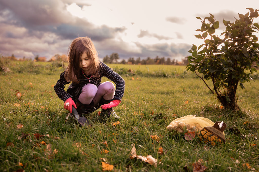 Fiver year old girl planting daffodils. A fall cloudy day photo.