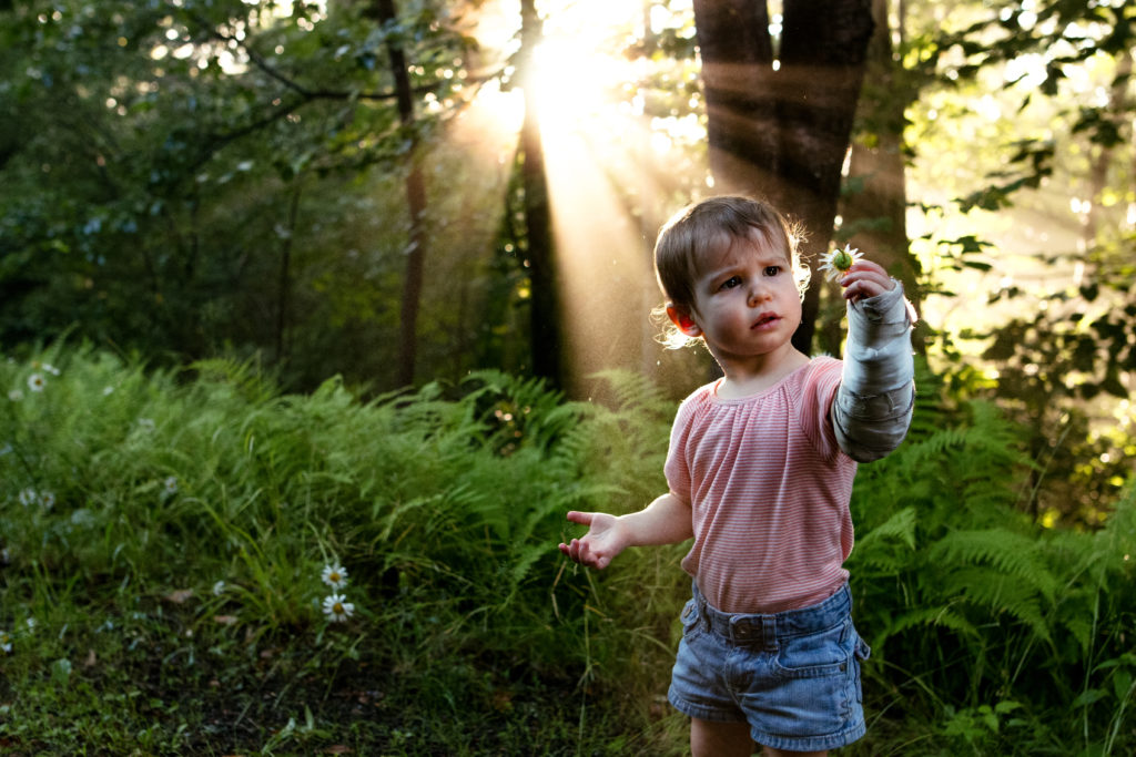 A two year old with a splint on her arm holds up a daisy while light streams in from behind.