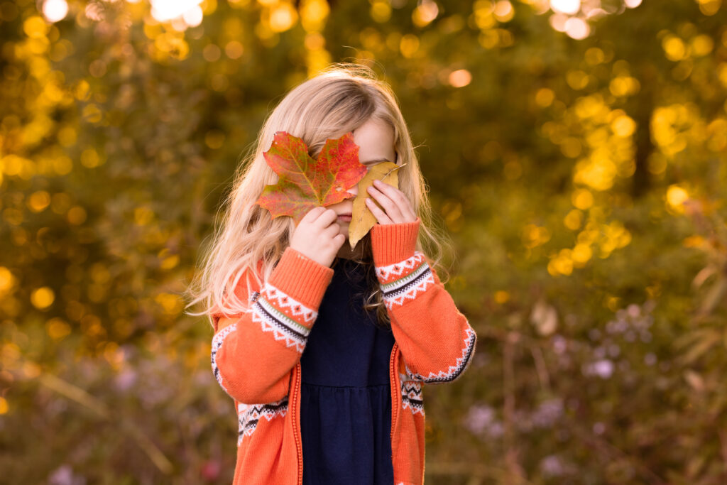 A 4 year old girl hides her face with fall leaves.