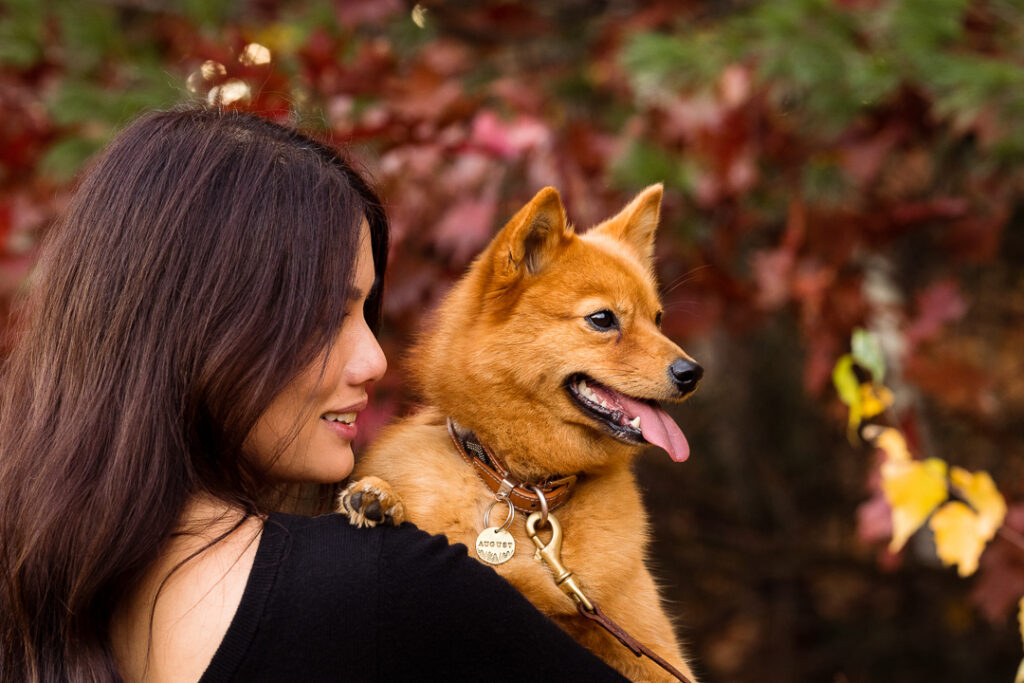 A woman gazes lovingly at the dog in her arms with Vermont fall foliage in the background.